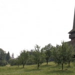 Conserving - restoring and showcasing the wood churches Petrindu and Cizer - Cluj County Council