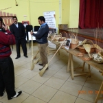 Expoziții dedicate meseriilor tradiționale ale comunității rome